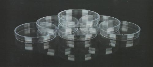 培养皿